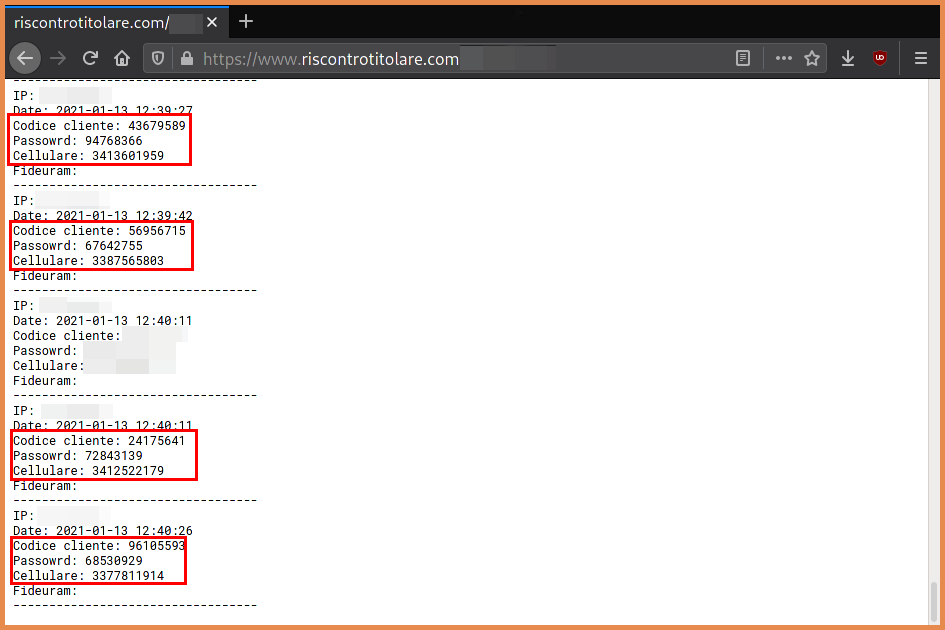 Logs on the phishing page